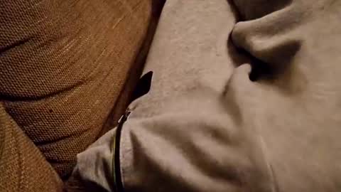 Snapshot of bonny8723 chatting on February 5, 7:20 pm bonny8723 online show from February 5, 7:20 pm