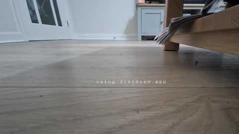 bonny8723 online show from January 13, 6:57 pm