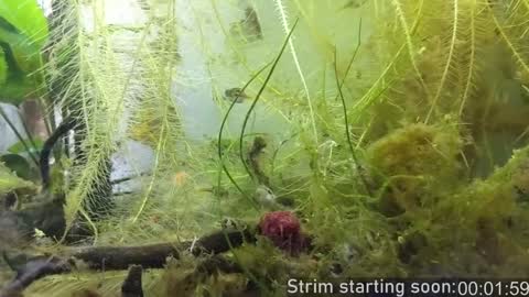 Booker Baxton online show from December 5, 4:09 am