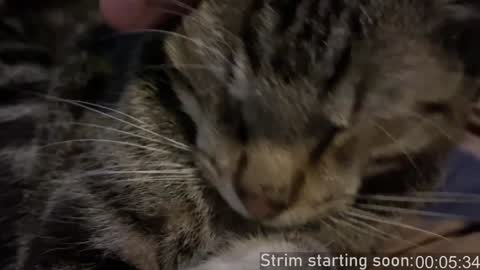 Booker Baxton online show from December 11, 4:07 am