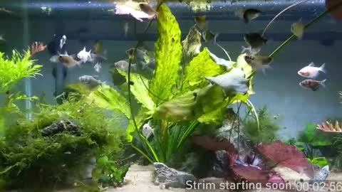 Booker Baxton online show from December 20, 4:09 am