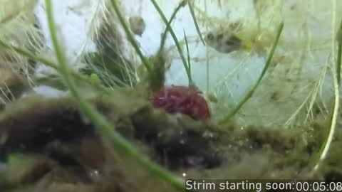 Booker Baxton online show from December 29, 4:05 am