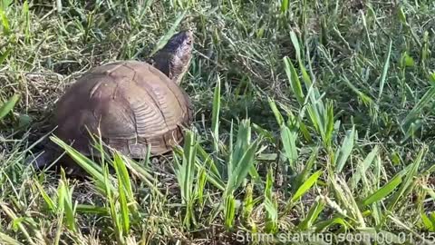 Booker Baxton online show from January 11, 4:06 am