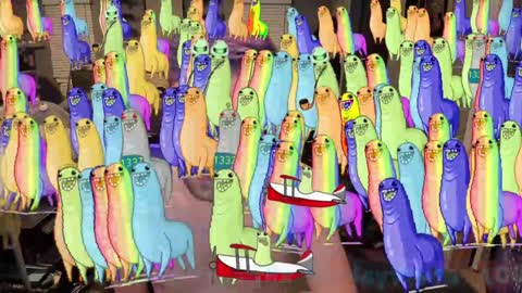 Booker Baxton online show from January 15, 7:05 am