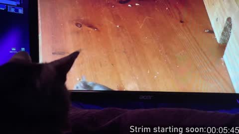 Booker Baxton online show from February 2, 4:05 am