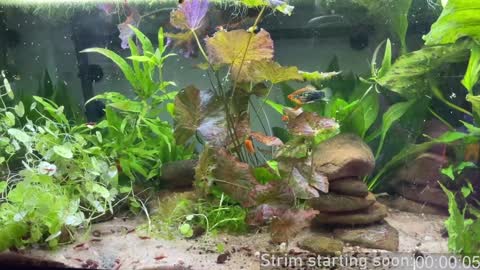 Booker Baxton online show from February 6, 4:10 am