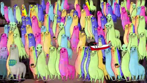 Booker Baxton online show from February 11, 7:02 am