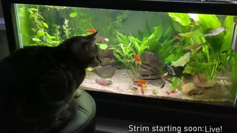 Booker Baxton online show from February 27, 4:09 am