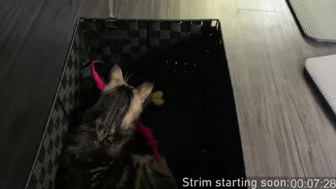 Booker Baxton online show from October 26, 3:01 am