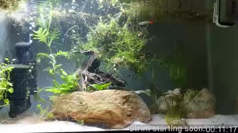 Booker Baxton online show from November 1, 2:57 am