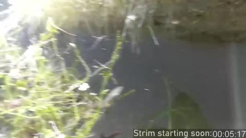 Booker Baxton online show from November 27, 4:03 am