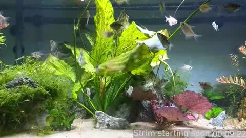 Booker Baxton online show from December 3, 3:58 am