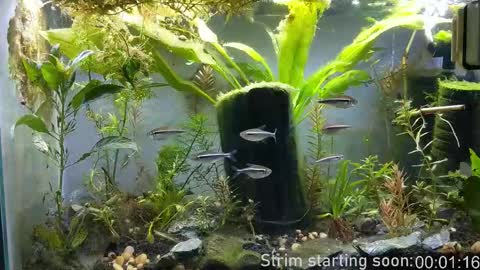 Booker Baxton online show from December 16, 4:06 am