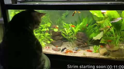 Booker Baxton online show from March 19, 2:59 am