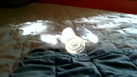 Bootsy online show from September 22, 7:49 pm