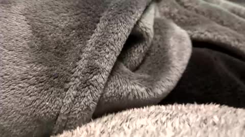 Borderslad1101 online show from November 23, 3:56 pm