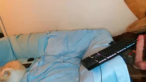 Snapshot of boredandirish21 chatting on October 4, 4:49 pm boredandirish21 online show from October 4, 4:49 pm