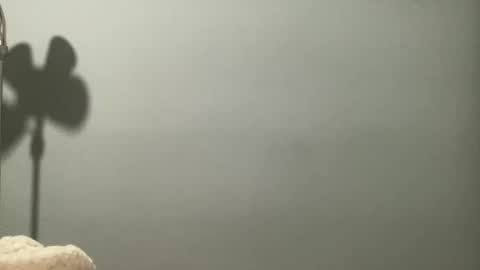 boselythornton1 online show from March 29, 6:57 am