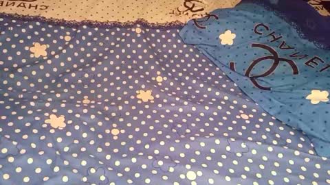 bossetassy online show from December 16, 4:45 pm