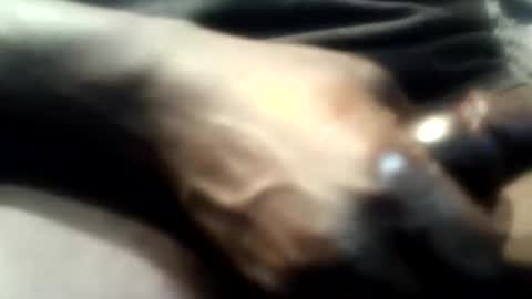 botofogo online show from December 1, 5:12 am