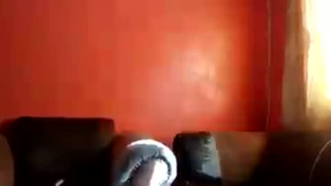 Snapshot of botsougaba chatting on July 27, 7:48 am botsougaba online show from July 27, 7:48 am