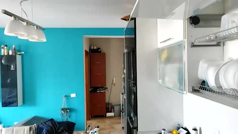 Dan online show from September 13, 10:26 am