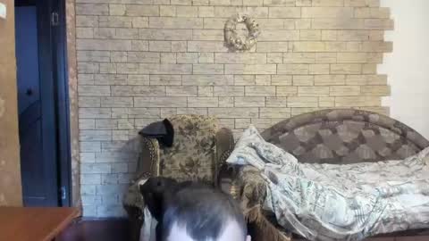 Snapshot of boyapollon chatting on December 24, 12:11 pm BoyApollon online show from December 24, 12:11 pm