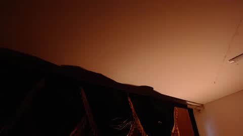 Brandy online show from February 20, 10:26 pm