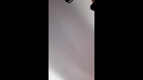 brandon281997 online show from April 17, 6:44 pm