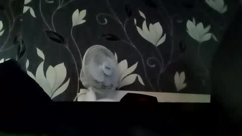 PB9944 online show from September 14, 7:18 am