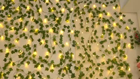 Brenda online show from January 5, 9:25 pm