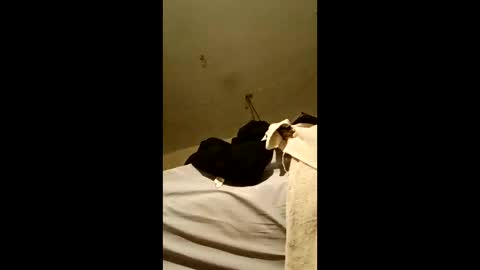 bricks4u online show from April 18, 3:43 am