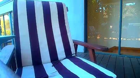 Fun Monster online show from February 20, 6:19 am