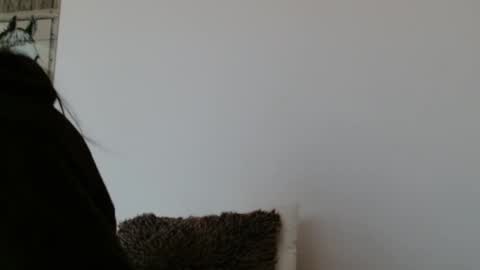 brigittebia777 online show from October 24, 10:11 am