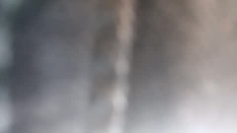 Snapshot of brittany069 chatting on October 26, 2:50 am Brittany online show from October 26, 2:50 am