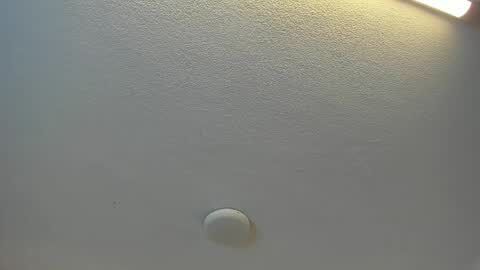 Snapshot of brittany069 chatting on April 19, 7:38 pm Brittany online show from April 19, 7:38 pm