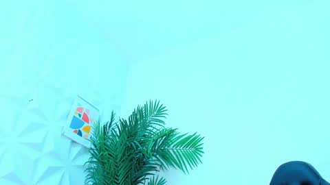 BRIYIT     online show from January 16, 5:11 am