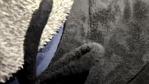 just a broken boy online show from January 12, 7:08 pm