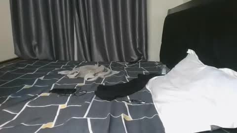 brown_sugar4 online show from November 13, 8:30 pm