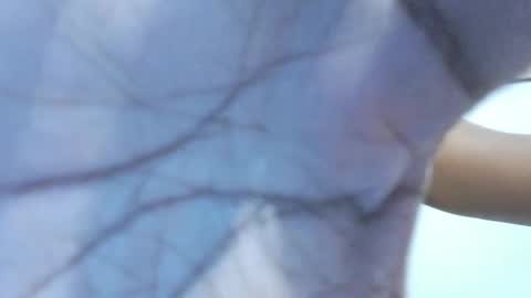 Snapshot of brownguy2505 chatting on January 19, 12:53 pm brownguy2505 online show from January 19, 12:53 pm