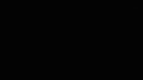 BRUCE online show from May 5, 5:26 am