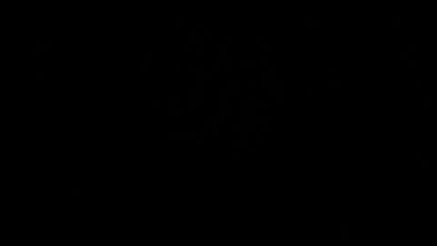 BRUCE online show from May 31, 3:36 am