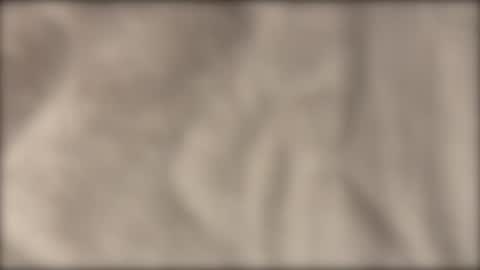 lvdy online show from February 22, 10:14 am