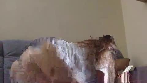 Snapshot of brutecia chatting on September 16, 6:42 pm brutecia online show from September 16, 6:42 pm