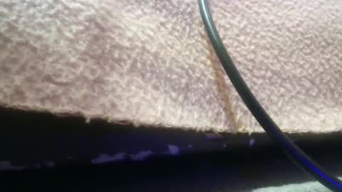 bubumaci53 online show from November 30, 10:47 pm