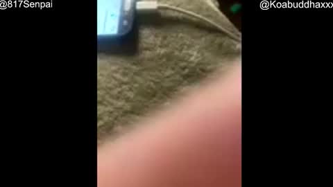 Koa  Kobe  online show from November 27, 11:56 am