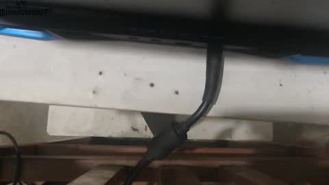 buldgeinboxer online show from January 18, 5:33 am