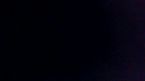 Bull balls online show from February 11, 1:09 pm