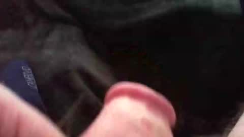 bullemoe online show from November 9, 11:41 am