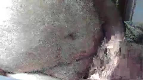 John Brown online show from May 12, 5:43 pm